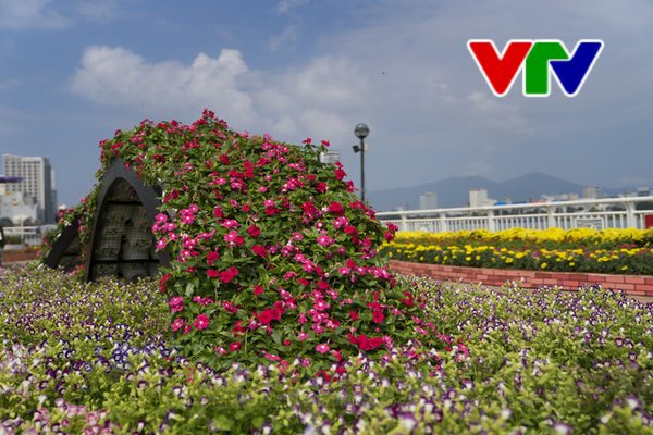 duong hoa bach dang